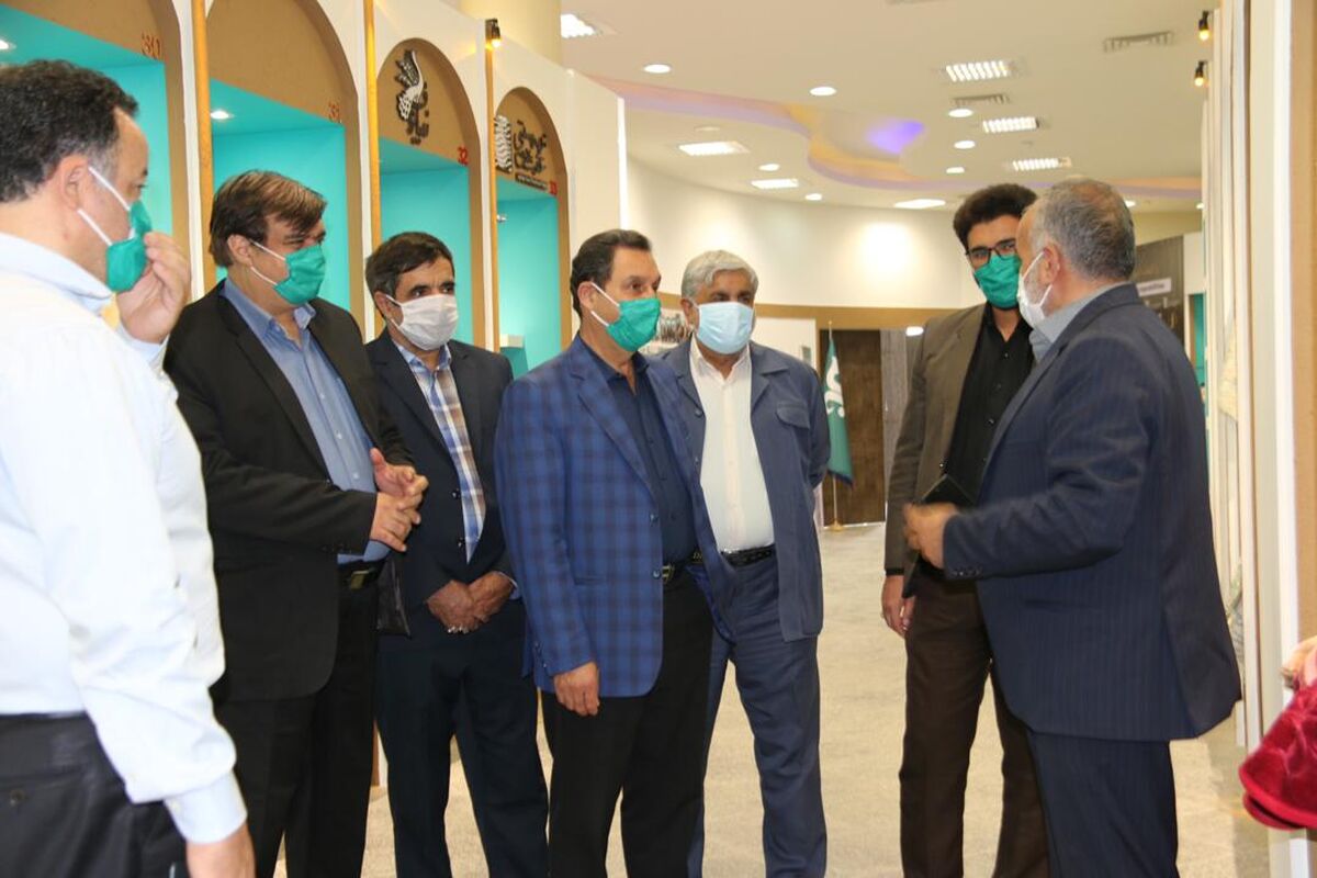 حسنی