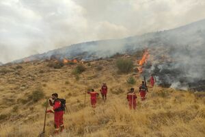 برگزاری چهارمین پویش «نجات طبیعت» در شیراز/کاهش ۴۶ درصدی حریق در باغات و ارتفاعات