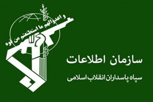 ۳ باند‌ مدلینگ توسط سربازان گمنام متلاشی شد