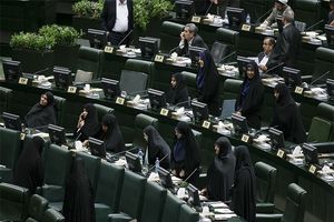 بادامچی و گودرزی اعضای ناظر مجلس در ستاد ساماندهی و حمایت از مشاغل خانگی شدند