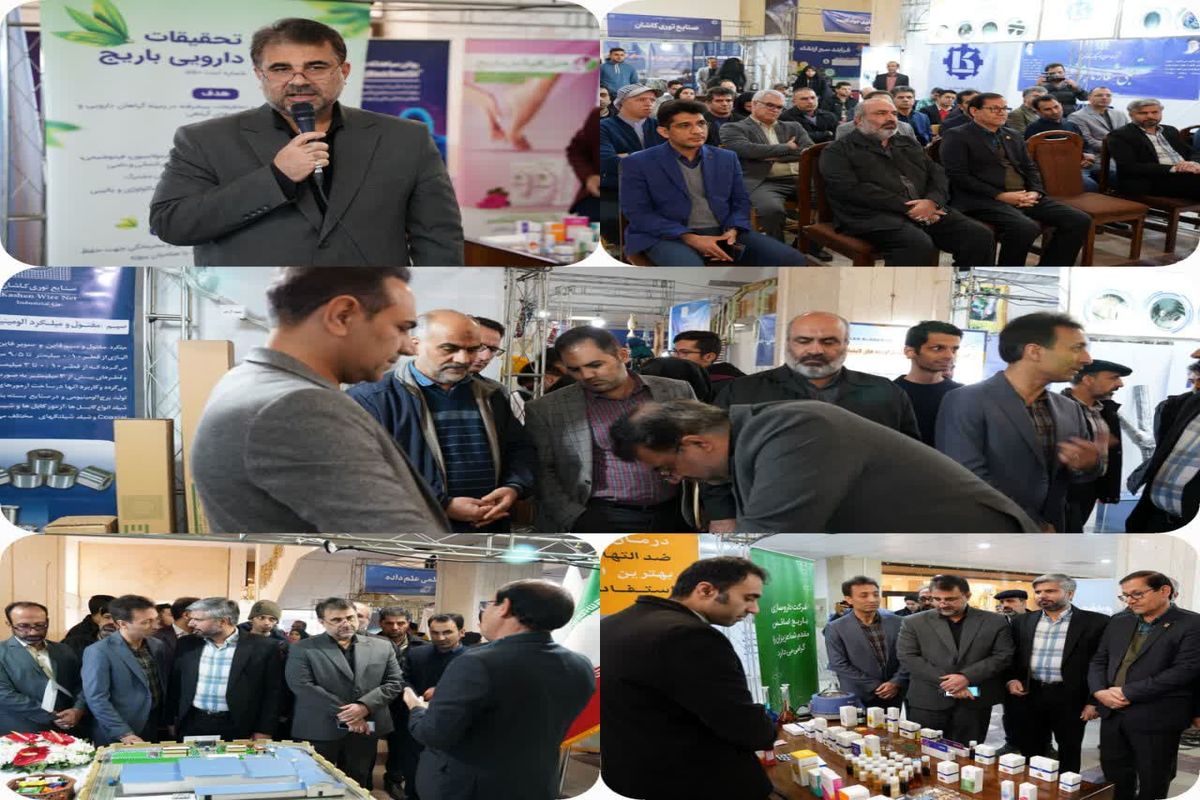 دانشگاه کاشان