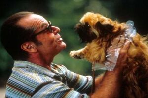 دانلود زیرنویس فیلم As Good As It Gets 1997 