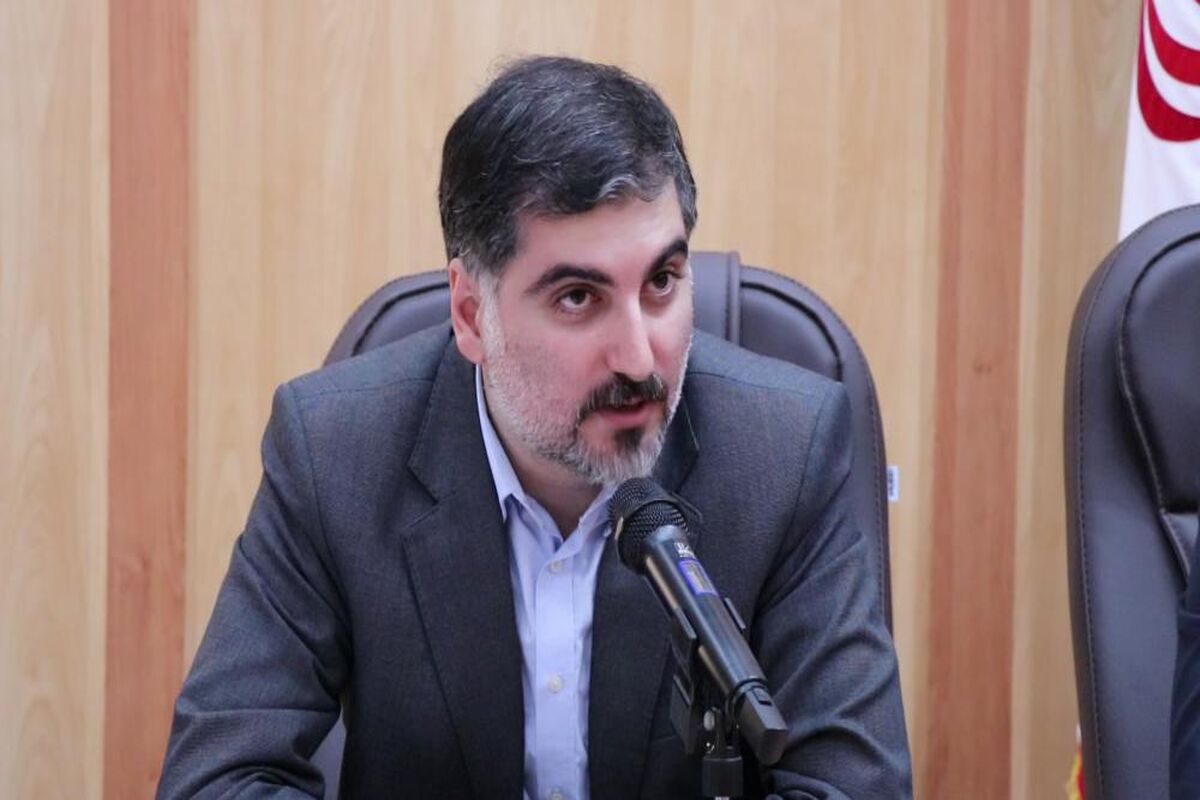 مدیرکل دفتر امور روستایی و شوراها
