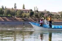 برداشت بیش از ۴۰ تن ماهی گرمابی از دریاچه شورابیل