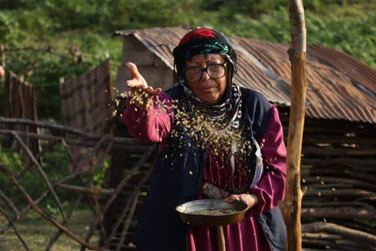 فیلم سینمایی دوچ