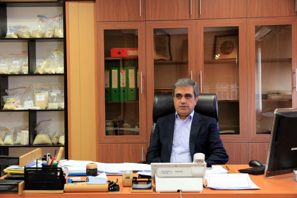 امیر طالبی