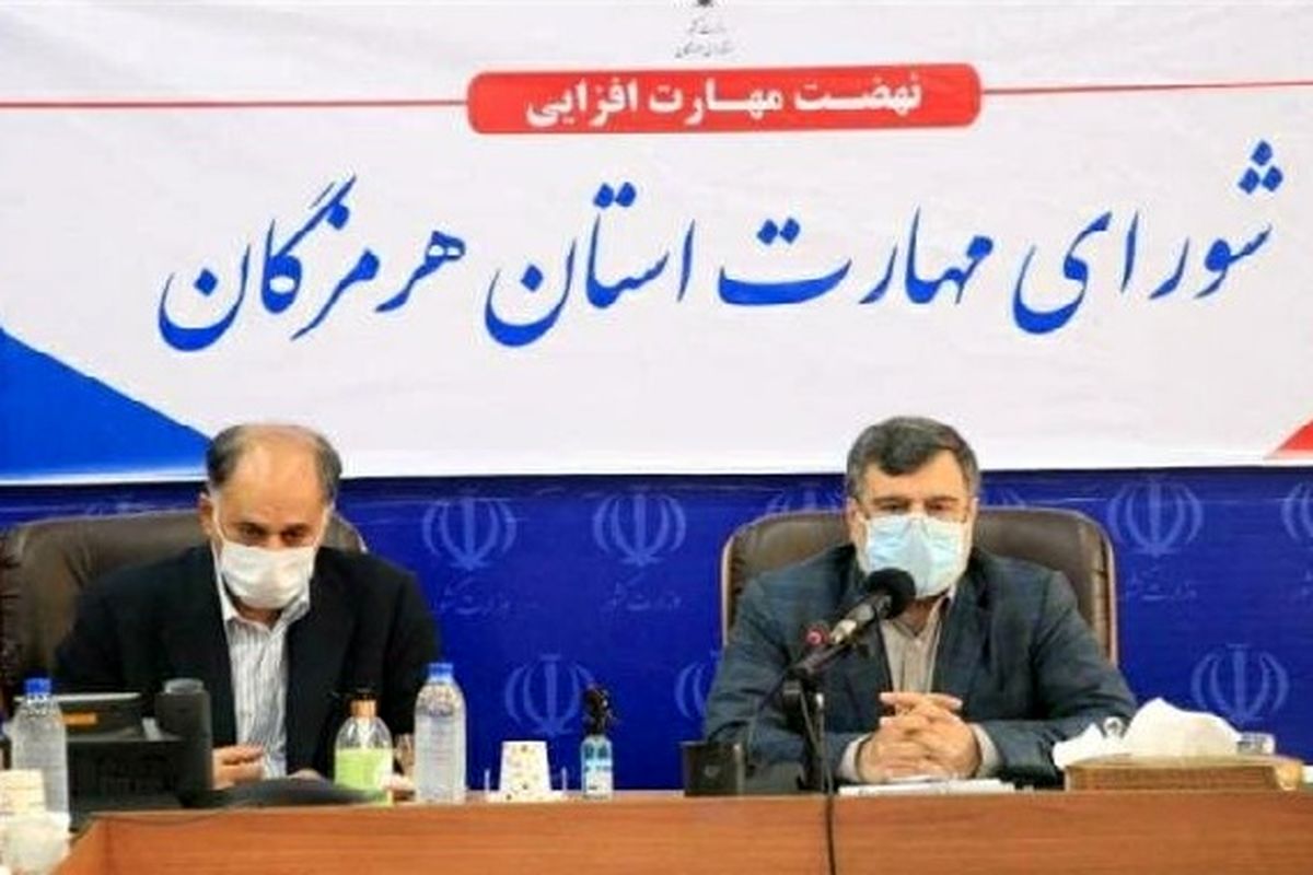 شورای مهارت