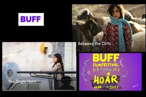 در جشنواره سوئد ۲ فیلم ایرانی پذیرفته شد