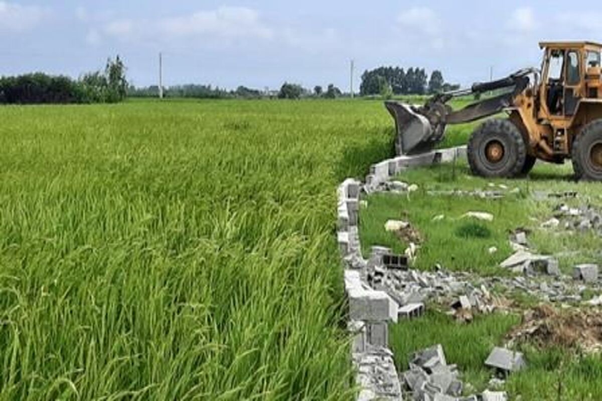 قلع و قمع در محمودآباد مازندران