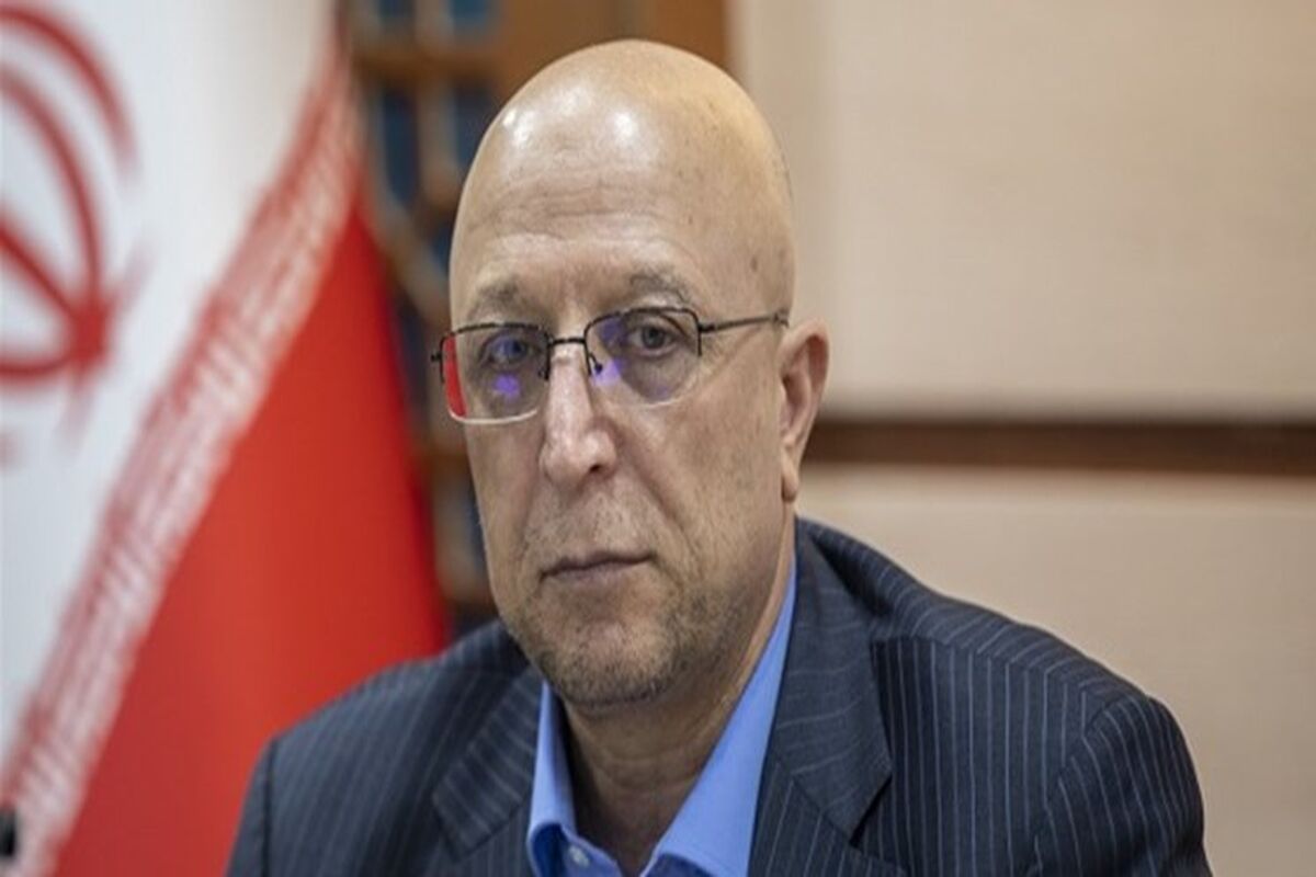 محمد‌علی زلفی‌گل