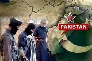 دولت پاکستان تروریسم پرور است