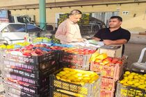 تعطیلی تمام میادین و بازارهای میوه و تره‌بار تهران در سالروز شهادت حضرت فاطمه زهرا(س)