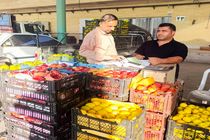 الزام صدور فاکتور الکترونیکی و شفافیت قیمت‌گذاری در میدان میوه و تره‌بار هرمزگان