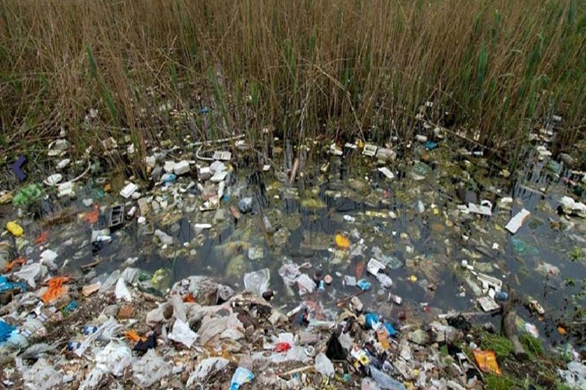 تالاب عینک رشت 