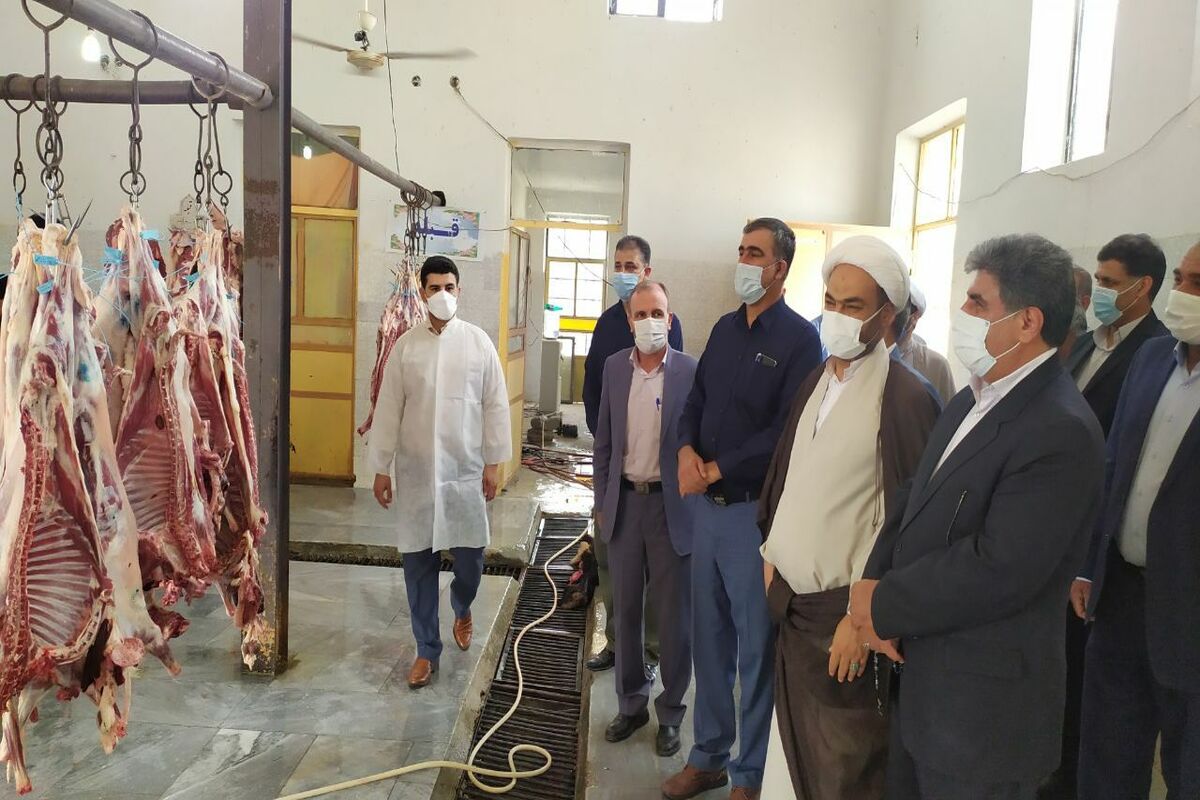 قنبر موسی نژاد