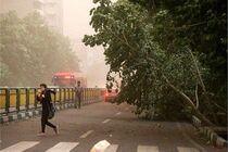 وزش باد شدید نقاط مختلف کشور را در بر می‌گیرد