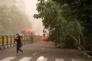 وزش باد شدید در تهران ادامه دارد
