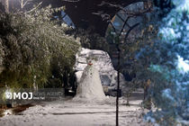 غافلگیری برفی در هرمزگان! + فیلم