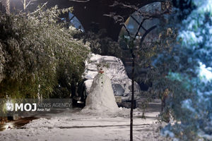 غافلگیری برفی در هرمزگان! + فیلم