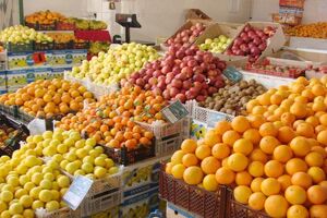 نقش ستاد تنظیم بازار در فساد هزاران تن میوه / میوه سرمایه ملی است باید پیگیری شود