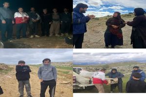 عشایر کوچ رو در منطقه سرگچ میداوود دچار حادثه شدند