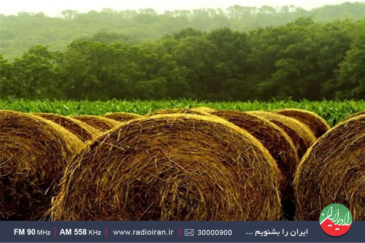 ایران امروز