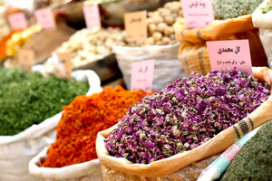 ۱۵۰ هکتار از اراضی نمین به کشت گیاهان دارویی اختصاص یافت