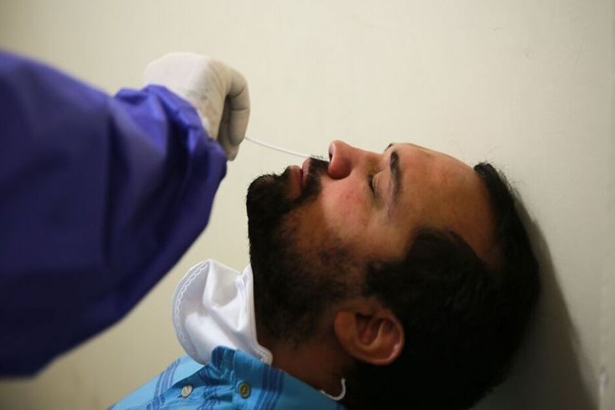 کرونا در خراسان رضوی