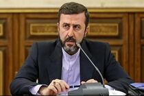 غریب‌آبادی به قطع رابطه اسراییل با دبیرکل سازمان ملل واکنش نشان داد