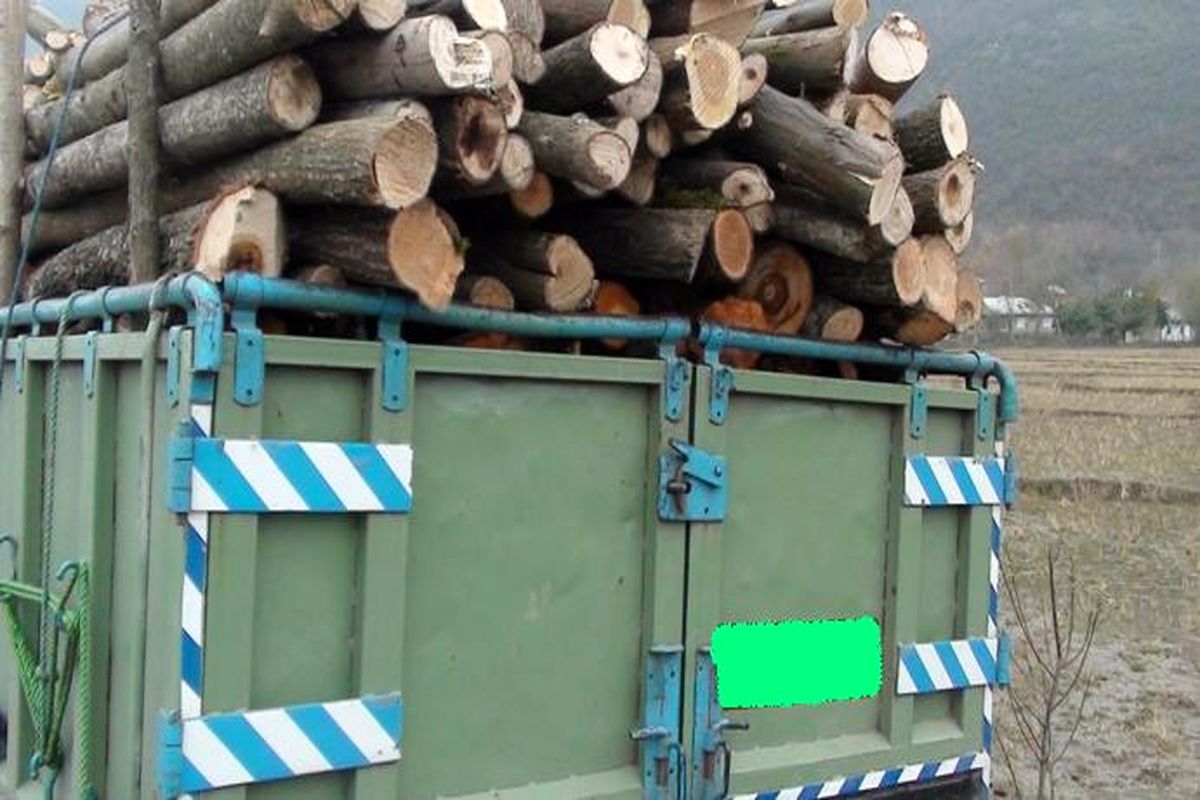 چوب قاچاق