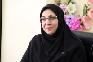 وجود ۲۷۰ وسیله بازی کودکان در شهربازی‌های زیرمجموعه شهرداری‌ها