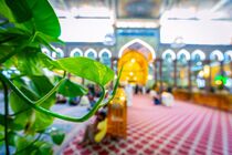 دانلود گلچین مداحی برای اربعین