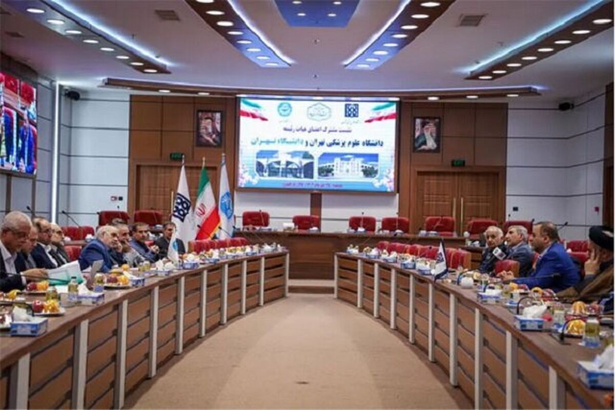 دانشگاه