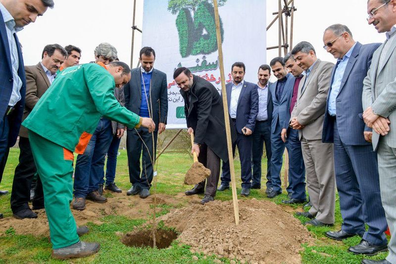 توزیع 7000 اصله نهال در منطقه آزاد انزلی