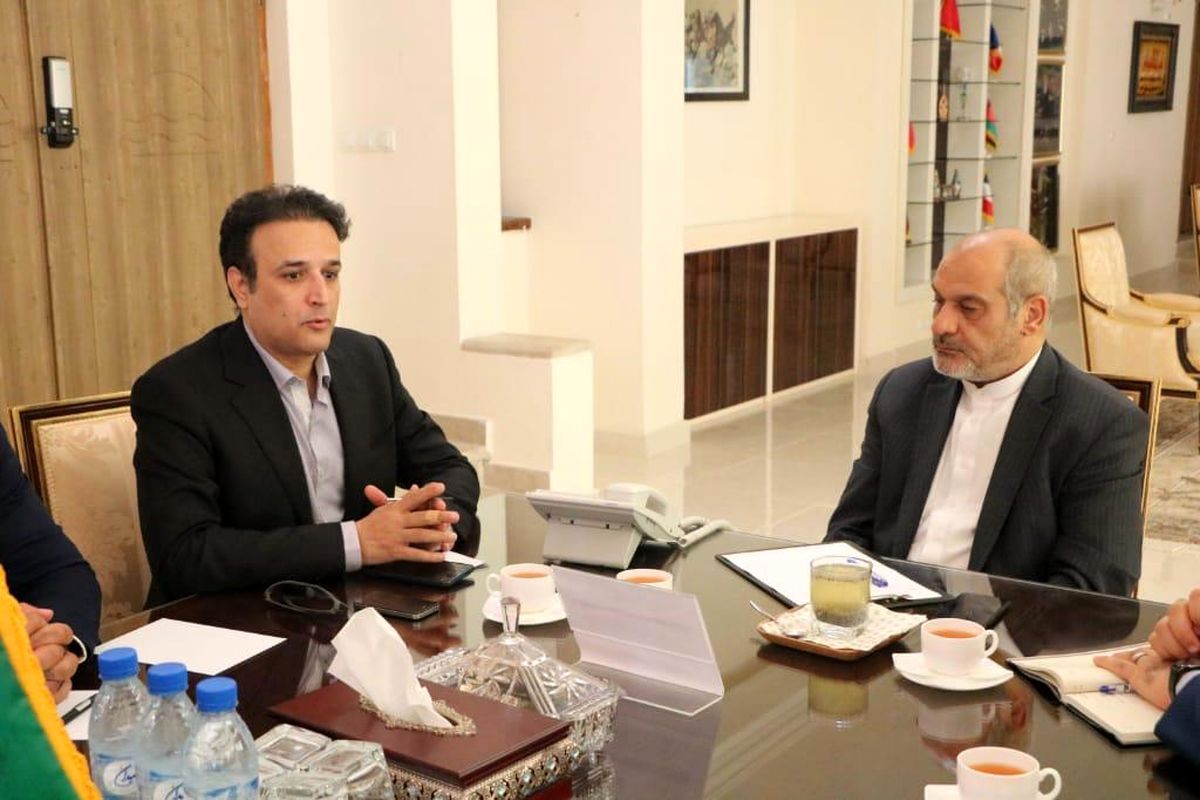 هادی ابراهیمی