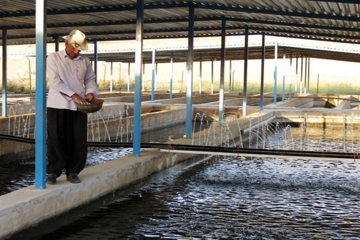 ماهی خاویاری در هرمزگان