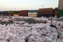 ترخیص دو هزار و ۶۰۰ تن برنج وارداتی از بندر شهید رجایی بندرعباس آغاز شد