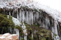 سرما، یخبندان شبانه وصبحگاهی در انتظار کردستانی ها