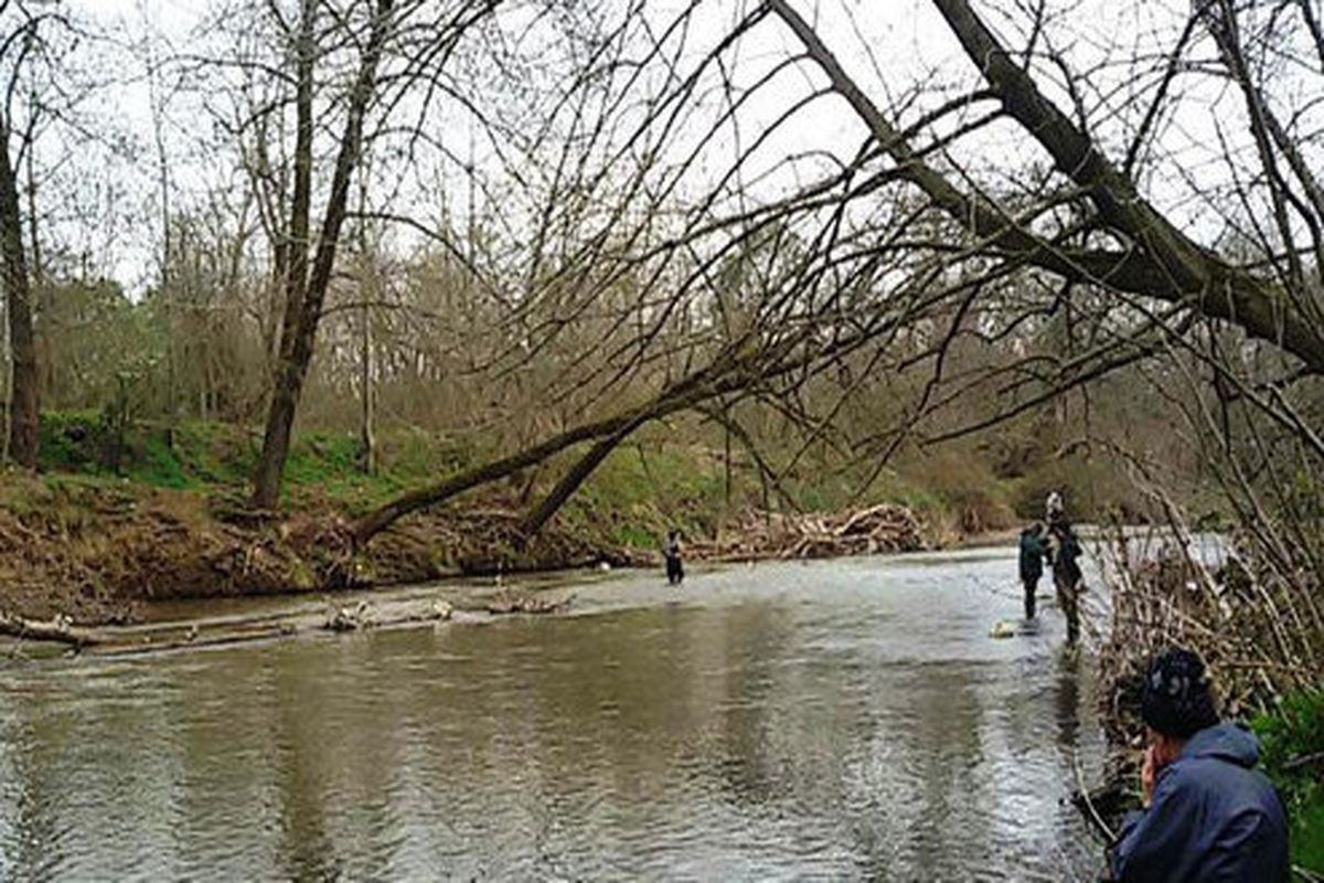 رودخانه