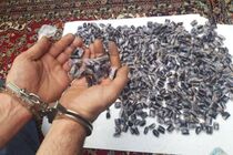 دستگیری فروشندگان مواد مخدر در کاشان