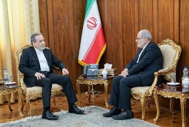 عراقچی بر بهره‌گیری از ظرفیت‌های دیپلماسی تاکید کرد