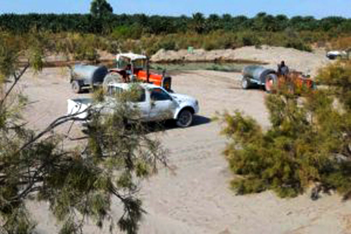 پروژه بیابان‌زدایی و عملیات احیایی و اصلاحی