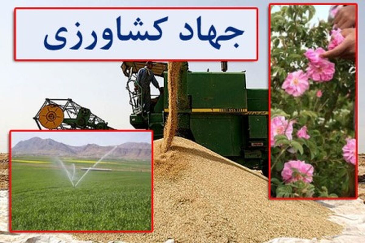 راه‌اندازی واحدهای راکد