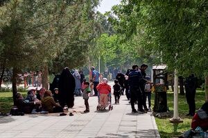 اجرایی شدن طرح کریمه اهل‌بیت(ع) با مشارکت شهرداری قم