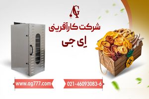 دستگاه میوه خشک کن ای جی