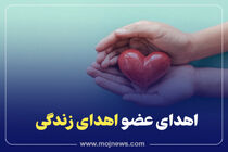 اینفوگرافیک/اهدای عضو 