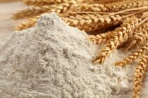 کار خرید بیش از یک میلیون تن گندم از کشاورزان خوزستانی انجام شد