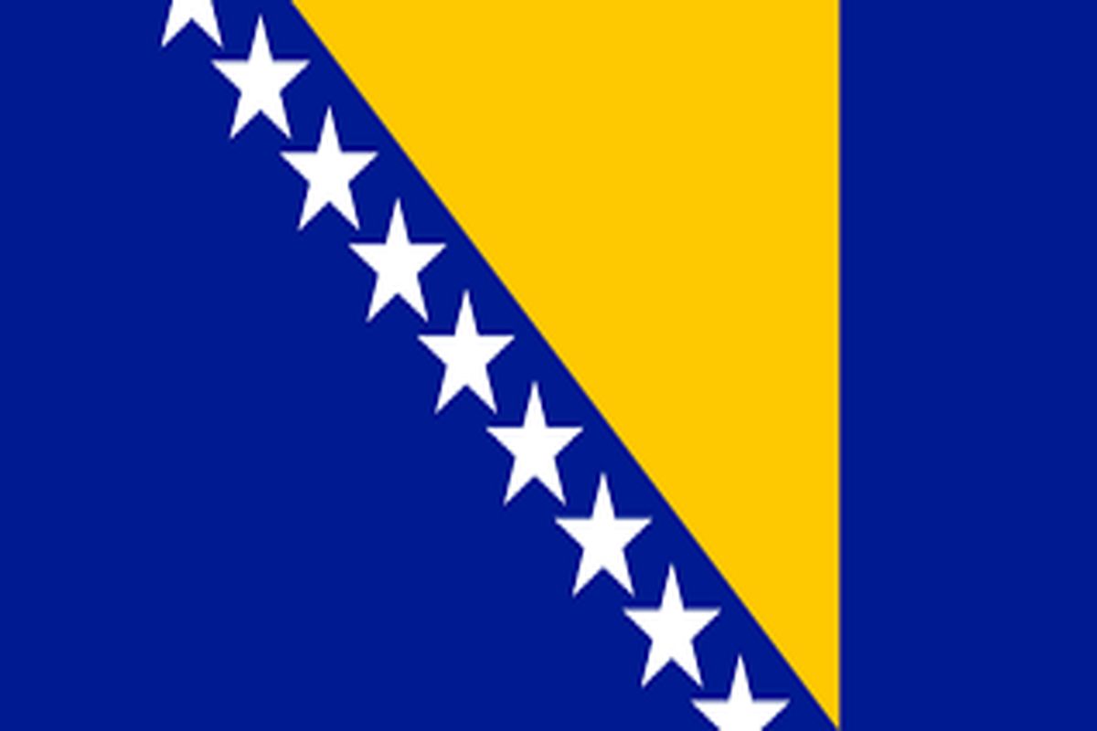 بوسنی