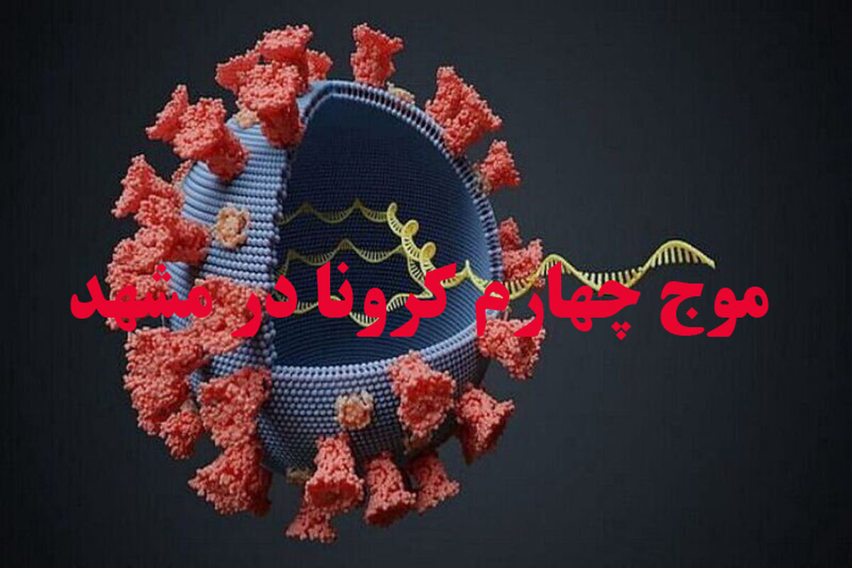 کرونا در مشهد 