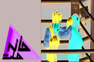 مجلس، خانه ملت یا خانه بوکس؟